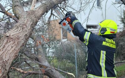 T1 Sturmschaden – Baum auf der Straße
