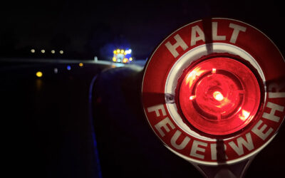 T1 – Bergung nach Wildunfall