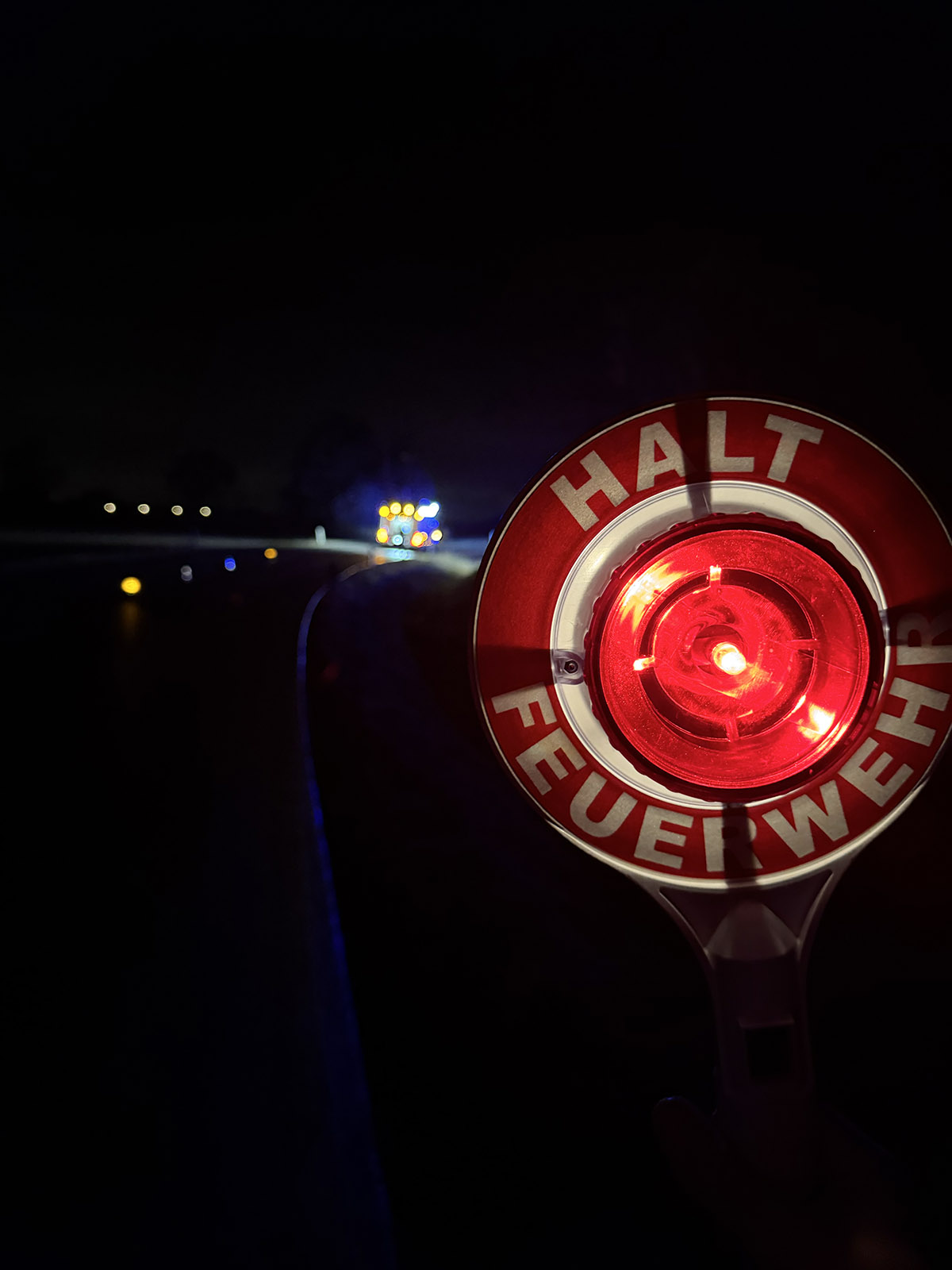 WhatsApp Image 2025-02-21 at 18.53.25